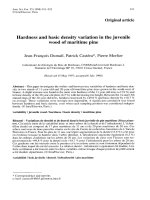 Báo cáo khoa học: 