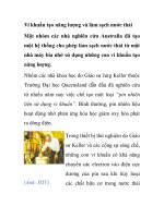 Vi khuẩn tạo năng lượng và làm sạch nước thải ppt