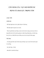 CÂN BẰNG CỦA VẬT RẮN DƯỚI TÁC DỤNG CỦA HAI LỰC - TRỌNG TÂMA.MỤC docx