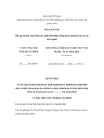 MẪU QUYẾT ĐỊNH Về việc công bố (một số/bộ) thủ tục hành chính mới pps