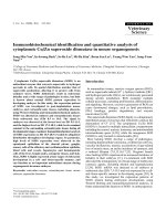 Báo cáo khoa học: 