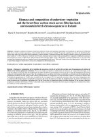 Báo cáo lâm nghiệp: 