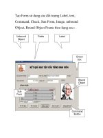Tạo Form sử dụng các đối tượng Label, text, Command, Check, Sun Form, Image, unbound ppsx