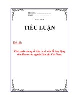 Tiểu luận: Khái quát chung về đầu tư và vấn đề huy động vốn đầu tư vào ngành Dầu khí Việt Nam. pdf
