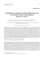 Báo cáo khoa học: 