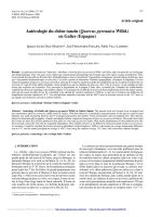 Báo cáo lâm nghiệp: 