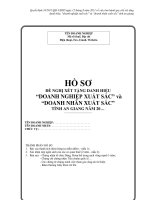MẪU BÁO CÁO THÀNH TÍCH Đề nghị xét tặng danh hiệu “Doanh nghiệp xuất sắc” doc