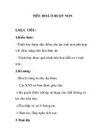 TIÊU HOÁ Ở RUỘT NON ppt