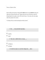 Noun or Adjective Quiz ppt