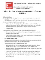 bao cao hoat dong thang 03.2010 pdf