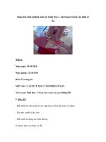 Sáng kiến kinh nghiệm môn mỹ thuật lớp 2 – bài trang trí màu vào hình có sẵn pot