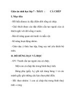 Giáo án sinh học lớp 7 - Tiết31 : CÁ CHÉP doc