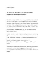 Gerund vs Infinitive pptx