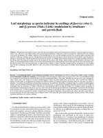 Báo cáo lâm nghiệp: 