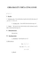 CHIA HAI LŨY THỪA CÙNG CƠ SỐ pdf