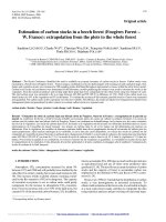 Báo cáo lâm nghiệp: 