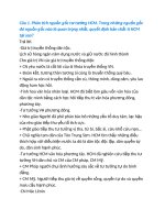 de cuong tt HCM docx