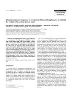 Báo cáo khoa học: 