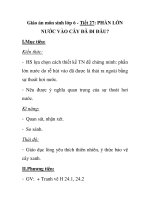 Giáo án môn sinh lớp 6 - Tiết 27: PHẦN LỚN NƯỚC VÀO CÂY ĐÃ ĐI ĐÂU? potx