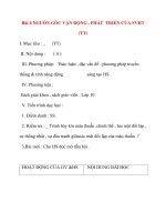 Giáo án Công Dân lớp 10: Bài 4 NGUỒN GỐC VẬN ĐỘNG , PHÁT TRIỂN CỦA SVHT (TT) ppsx