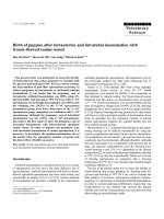 Báo cáo khoa học: 