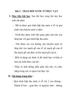 Bài 1: TRAO ĐỔI NƯỚC Ở THỰC VẬT doc