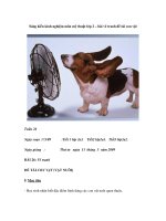 Sáng kiến kinh nghiệm môn mỹ thuật lớp 2 – bài vẽ tranh đề tài con vật pdf