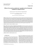 Báo cáo lâm nghiệp: 