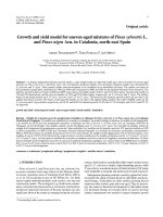 Báo cáo lâm nghiệp: 