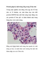 Protein giúp ký sinh trùng sống trong tế bào chủ pptx