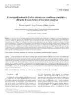 Báo cáo khoa học: 