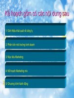 Lập Kế Hoạch Marketing Cho Nokia Trong Năm 2010 docx