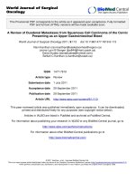 báo cáo khoa học: 