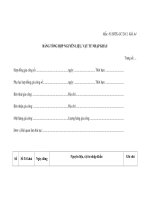 MẪU BẢNG TỔNG HỢP NGUYÊN LIỆU, VẬT TƯ NHẬP KHẨU doc