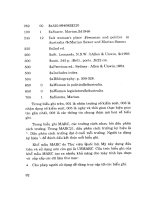 Giáo trình tin học trong hoạt động thông tin - thư viên part 4 pot