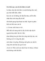 Các kiểu mọc của lá trên thân và cành potx