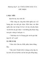 Hình học lớp 9 - §2. TỈ SỐ LƯỢNG GIÁC CỦA GÓC NHỌN pot