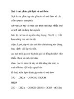 Quá trình phân giải lipit và axit béo ppt