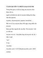 CÁCH GỌI TÊN VÀ PHÂN LOẠI ENZYME pptx
