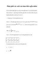 Phân phối xác suất của hàm biến ngẫu nhiên trong xác suất thống kê pps