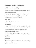 Ngành Nấm nhầy thật - Myxomycota pdf