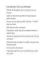CƠ CHẾ XÚC TÁC CỦA ENZYMEvề cơ chế xúc tác của ppsx