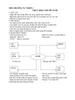 MÔI TRƯỜNG TỰ NHIÊN THỰC HIỆN CHỦ ĐỀ NƯỚC pps