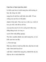 Cụm hoa có hạn (cụm hoa xim) ppsx