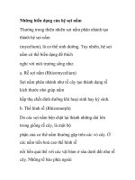 Những biến dạng của hệ sợi nấm docx