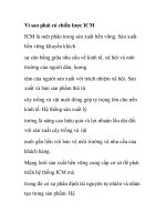 Vì sao phải có chiến lược ICM ppt