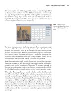 Adobe Photoshop CS2 Photographers’ Guide phần 8 ppt