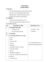 GIÁO ÁN TIỂU HỌC LỚP 2 docx