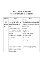 KẾ HOẠCH THỰC HIỆN CHỦ ĐỀ (GIA ĐÌNH) pps