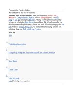 Phương trình Navier Stoked ppsx